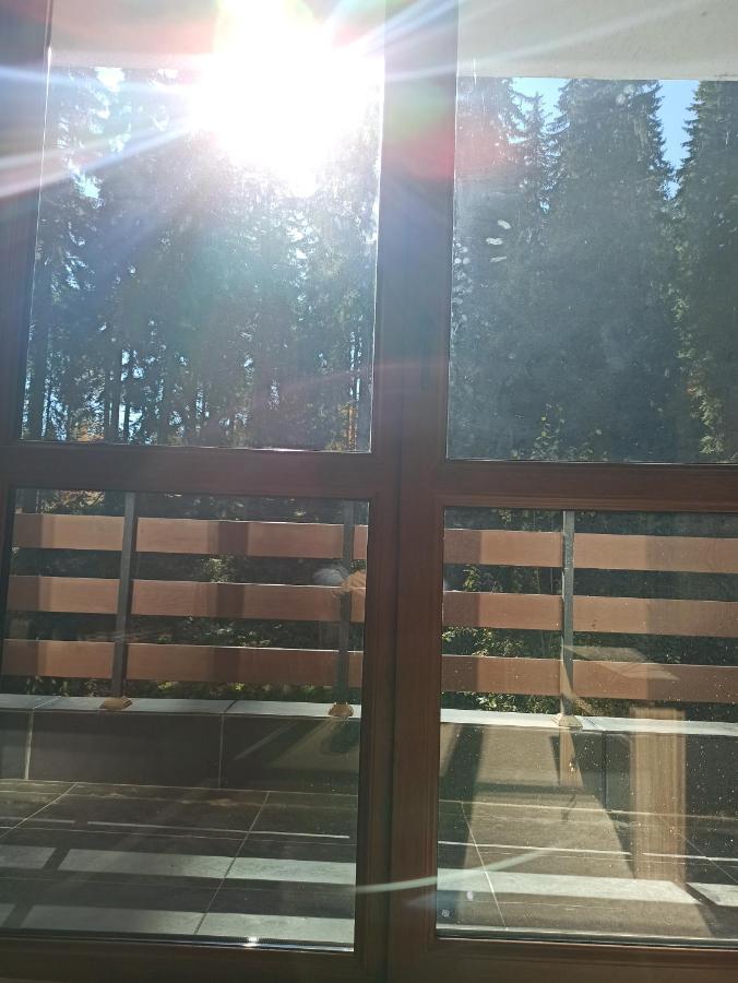 Private Apartments Nevena بامبوروفو المظهر الخارجي الصورة